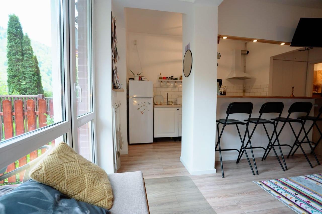 Bubbles Studio Sinaia With Terrace Экстерьер фото
