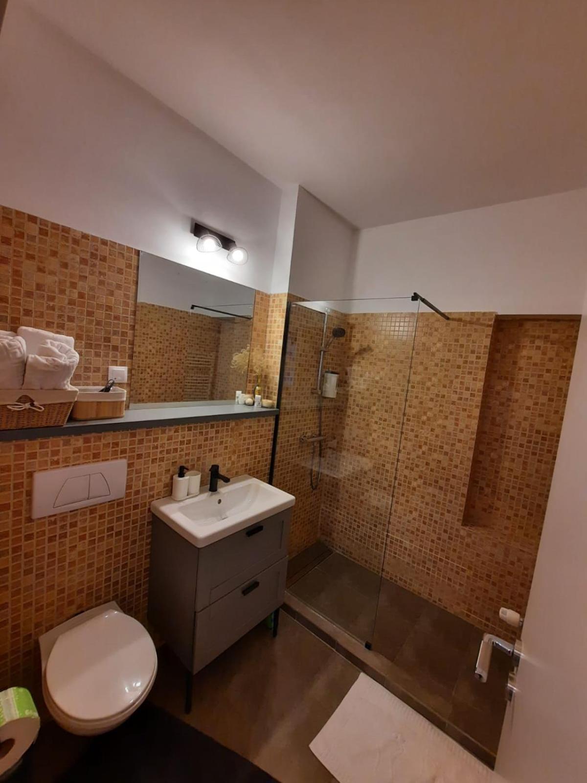 Bubbles Studio Sinaia With Terrace Экстерьер фото